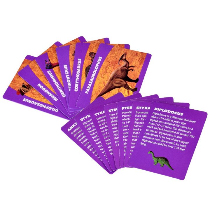 Zestaw Archeologiczny 12 Dużych Jaj + karty Odkryj Świat Dinozaurów ZA4999