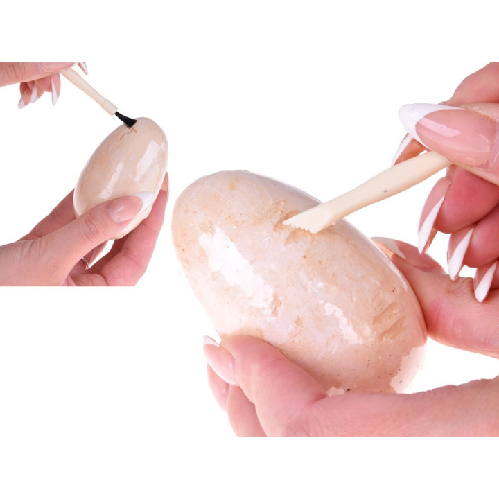 Zestaw Archeologiczny 12 Dużych Jaj + karty Odkryj Świat Dinozaurów ZA4999