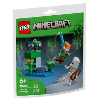 LEGO(R) MINECRAFT 30705 Walka w bujnej jaskini